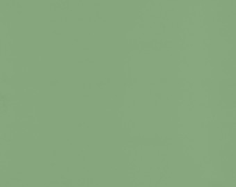 [200111122_74] Taralay Impression Compact - 1080 Uni Matt Green